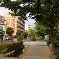 葛西親水四季の道　江戸川区中葛西3-10