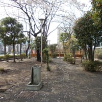 坂下三丁目緑地
