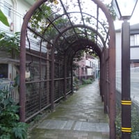 内戸越堀コミュニティ道路　足立区東和1-18