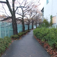 武蔵野の路石神井川コース　板橋区板橋4-47