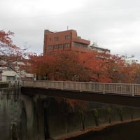 石神井川　中板橋