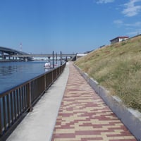 中川縁　江戸川区船堀二丁目付近