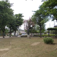 上祖師谷パンダ公園