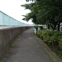 中川沿い　葛飾区奥戸1-7