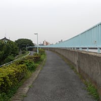 中川沿い　葛飾区奥戸1-6