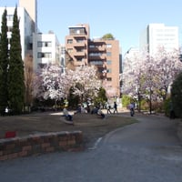 千鳥ヶ淵公園