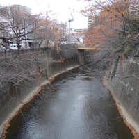 石神井川　番場橋より板橋側