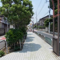 東用水せせらぎ通り