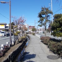 神領堀親水緑道