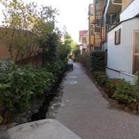 下小岩親水緑道
