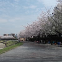 小豆沢公園小豆沢河岸広場