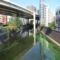 神田川　船河原橋より小石川橋側
