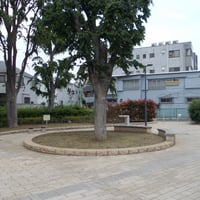 南烏山けやき公園