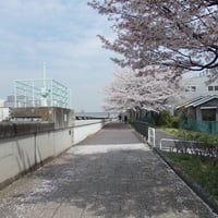 新河岸川沿い
