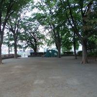 森の公園
