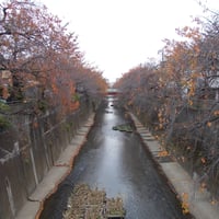 石神井川　久保田橋より山中橋側