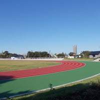 和田堀公園 済美山運動広場