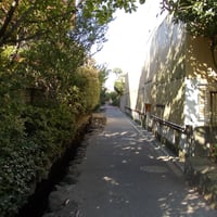 下小岩親水緑道
