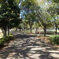 新小岩公園