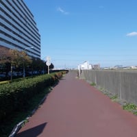 武蔵野の路葛西コース　江戸川区堀江町