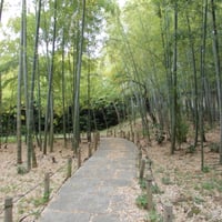 岡本公園