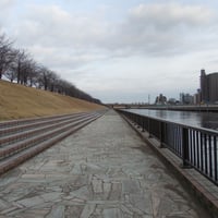 新河岸川縁