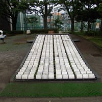 ソロバンスライダー　高砂やちよ公園