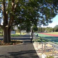 和田堀公園 済美山運動広場