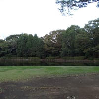 北の丸公園