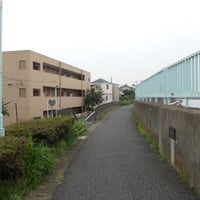 中川沿い　葛飾区奥戸1-11