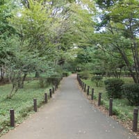 北の丸公園