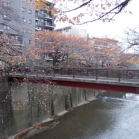 石神井川　稲荷橋