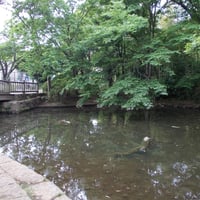 岡本公園