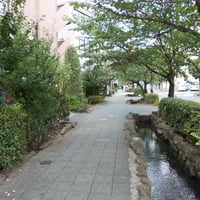 葛西親水四季の道　江戸川区中葛西4-4