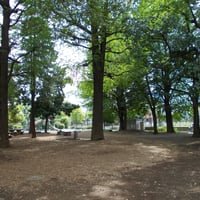 中央公園