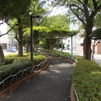 仲割川遊歩道　江戸川区東葛西8-7