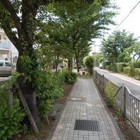 東用水せせらぎ通り