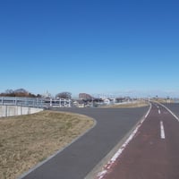 江戸川堤サイクリングロード　葛飾区東金町8