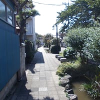 上小岩親水緑道　江戸川区北小岩5-6･11