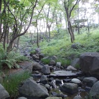 北の丸公園