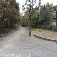 石神井川緑道