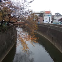 石神井川　新板橋より愛染橋側