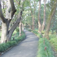 北の丸公園