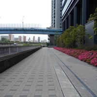 品川シーサイド水辺広場