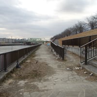 新河岸川縁