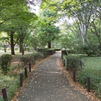 北の丸公園