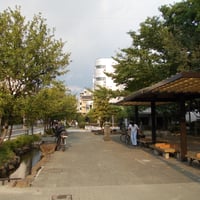 葛西親水四季の道　江戸川区中葛西3-21