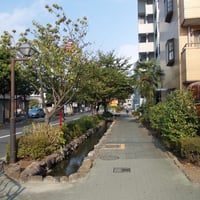 葛西親水四季の道　江戸川区中葛西3-31