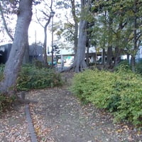 かしのき児童遊園