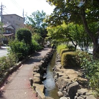 葛西親水四季の道　江戸川区西葛西7-16